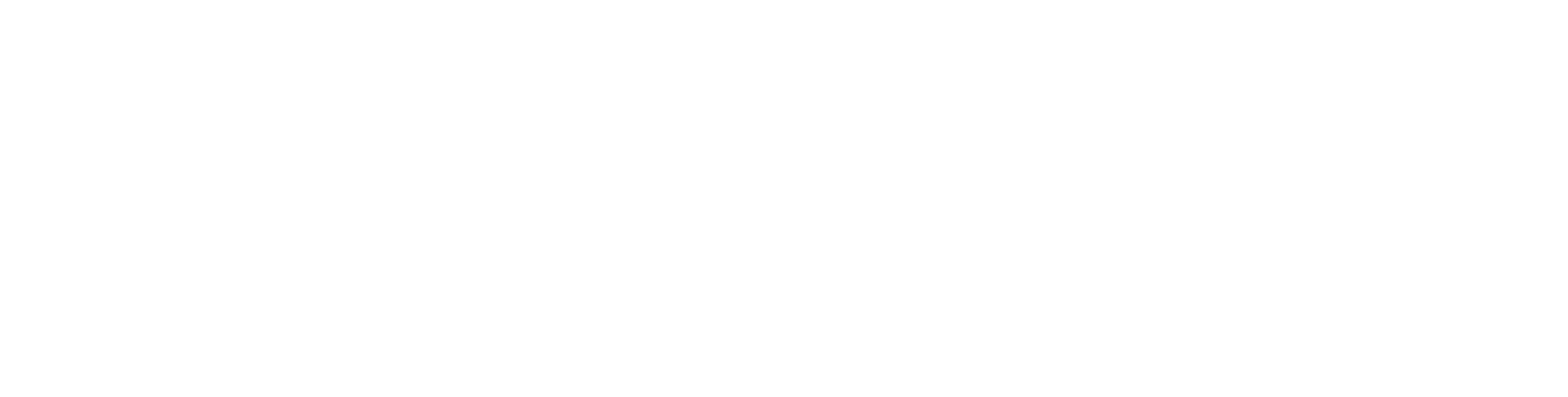 America Protective Security