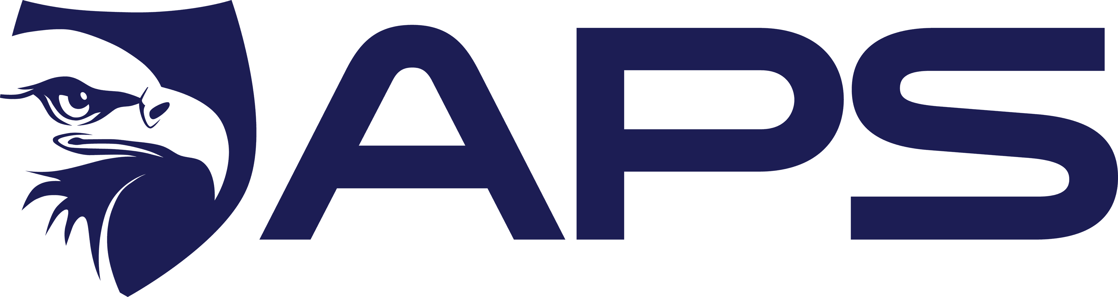 America Protective Security logo